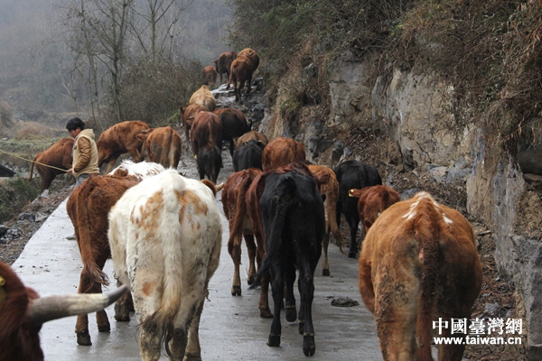 L(zhn)PB(yng)ؚJB(yng)ֳţЇ_W(wng)  z