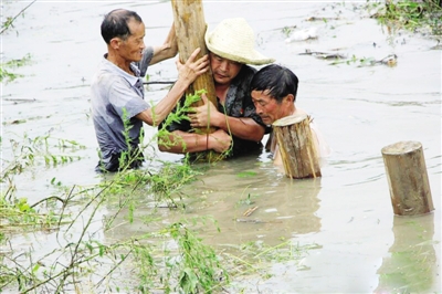 鄭李龍:雙肩筑起不倒的堤壩 鄭李龍:雙肩筑起不倒的堤壩