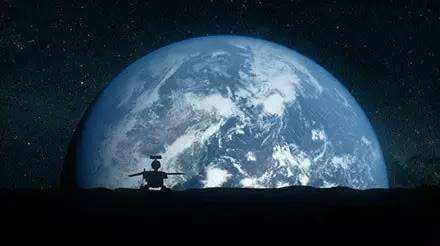 與孤獨斗爭972天 那只頑強的兔子永遠離開了我們