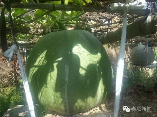 1˷N5wޟoϹ һ(g)χ_(d)167