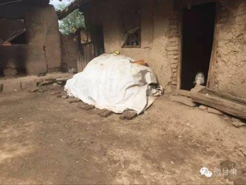 (另一間危房里面養豬)