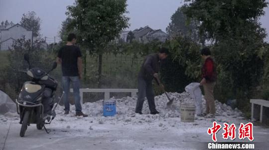 南京眼鏡蛇幼蛇逃逸曝光40小時,當?shù)鼐用窦壹覒魬羰曳忾T窗。 李珂 攝