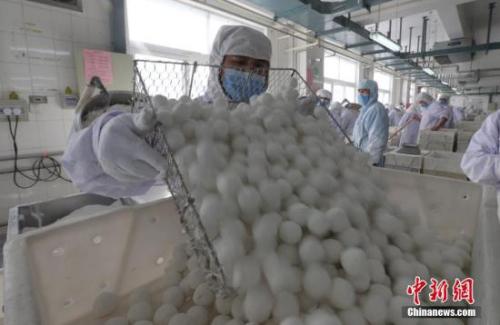 201728TӾoaԪԪֺYӛ ɼ z