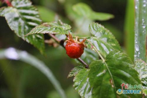 {ĽF@V ȫWýӛٝˡ