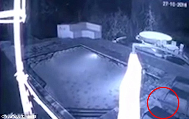 ǰһHڷ޵һg^ӾҹΕrһֻ{~ͻȻM(jn)grc׃Ѫԡ