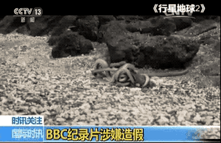 但據英國媒體報道,這一幕是合成的。