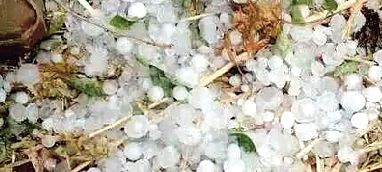 滑縣火災(zāi),村民圍毆偷狗賊 滑縣火災(zāi),村民圍毆偷狗賊