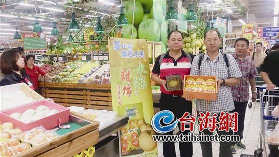 臺(tái)中東勢(shì)區(qū)農(nóng)會(huì)干部:臺(tái)農(nóng)業(yè)升級(jí)換代需大陸市場(圖) 臺(tái)中東勢(shì)區(qū)農(nóng)會(huì)干部:臺(tái)農(nóng)業(yè)升級(jí)換代需大陸市場(圖)