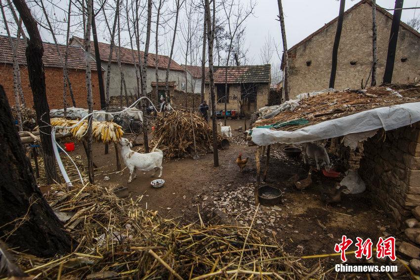 國民黨抗日名將張靈甫遺骨被曝埋羊圈 國民黨抗日名將張靈甫遺骨被曝埋羊圈