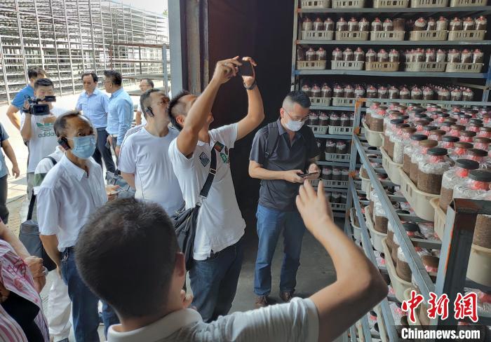 8月27日,在川臺商參觀考察臺資農業企業。 王鵬 攝