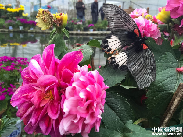 ȫW(wng)j(lu)ýwMЇؚһ塪ϪЇ_W(wng)ӛ  z